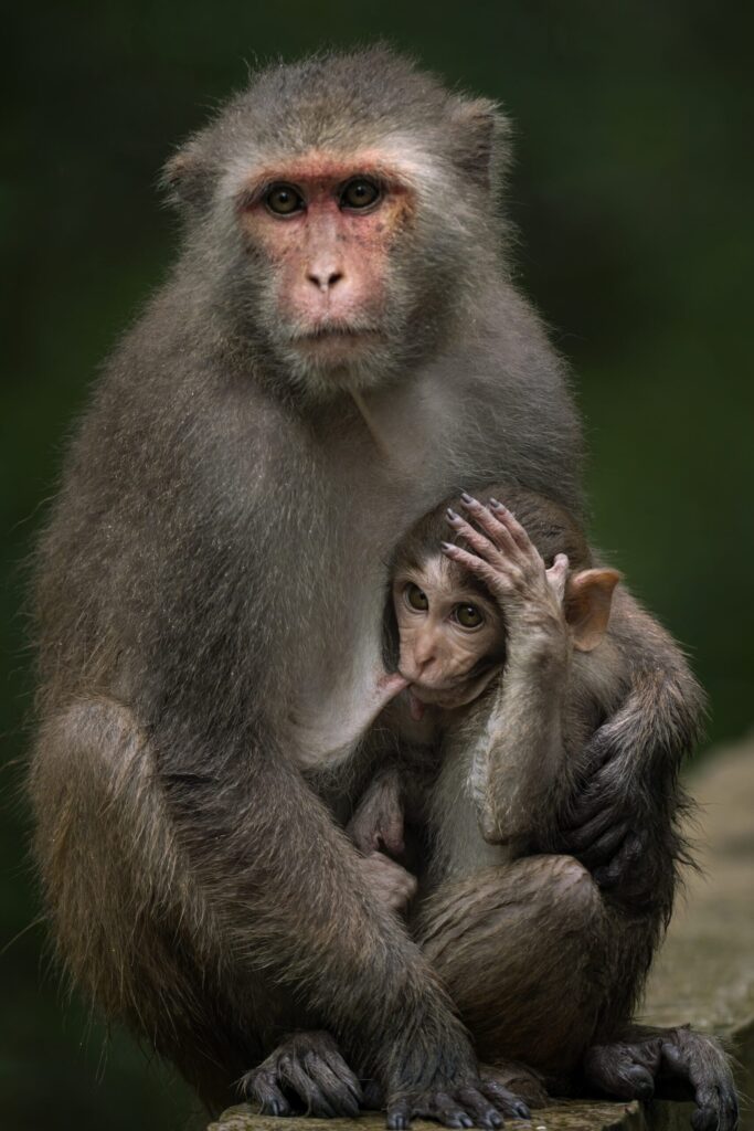 Mother Care