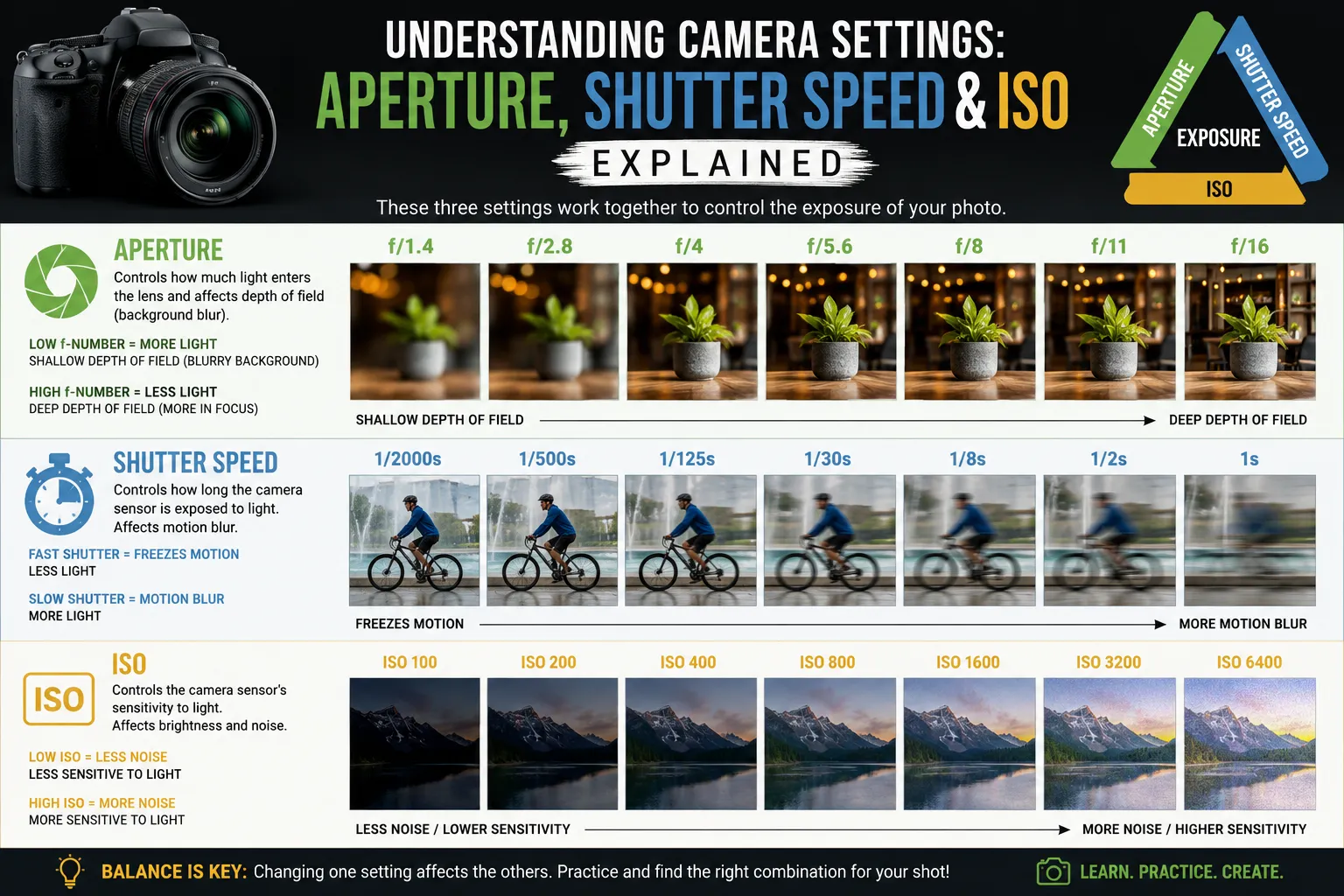Understanding Camera Settings Aperture, Shutter Speed & ISO Explained